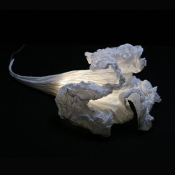 Lampe à poser 'Fleur Aquatique' - Charlot & Cie