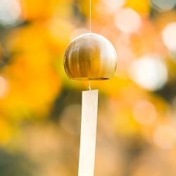 copy of Cloche à vent SLIM