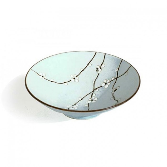 assiette japonaise sakura vert d’eau 24 cm décor fleurs de cerisier