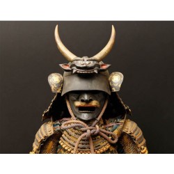 Samourai Armor