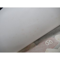 copy of Dyeing Print 1974