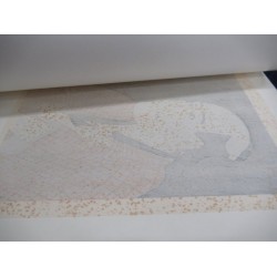 copy of Dyeing Print 1974