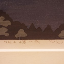 copy of Dyeing Print 1974