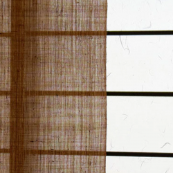 copy of Noreen japonais