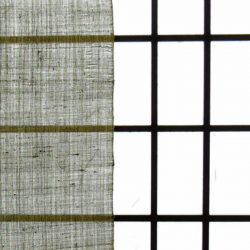 copy of Noreen japonais