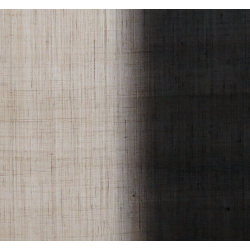 copy of Noreen japonais