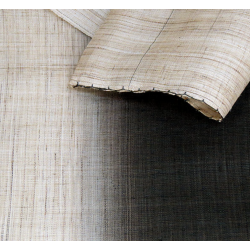 copy of Noreen japonais