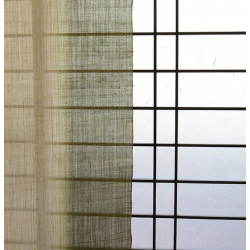 copy of Noreen japonais