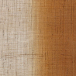 copy of Noreen japonais