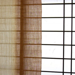 copy of Noreen japonais