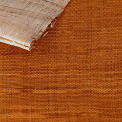 copy of Noreen japonais