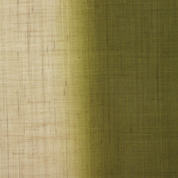 copy of Noreen japonais