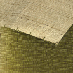 copy of Noreen japonais