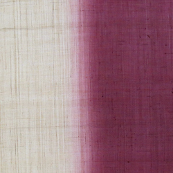 copy of Noreen japonais