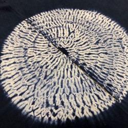 copy of NOREN coton 1