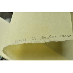 copy of Dyeing Print 1974