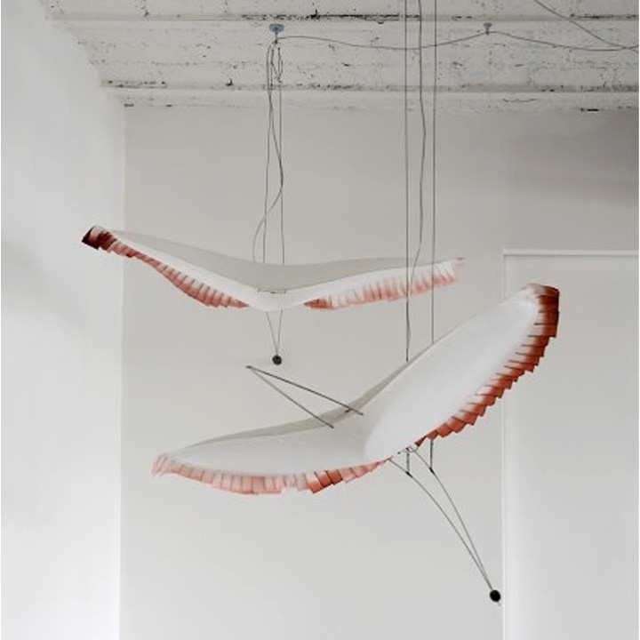 L’Oiseau mobile à plumes colorées de Céline Wright