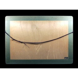 copy of copy of copy of Dyeing Print 1974