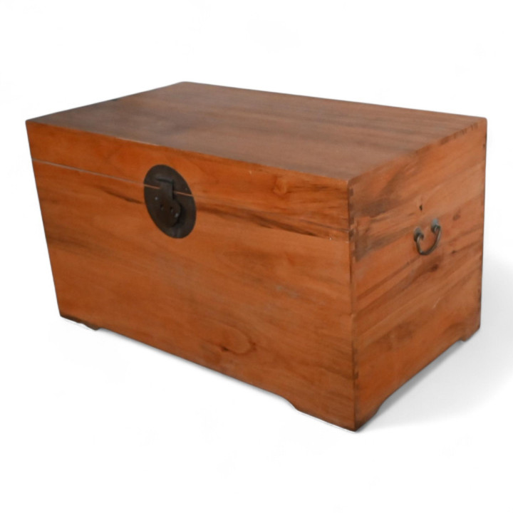 copy of copy of Coffre camphrier