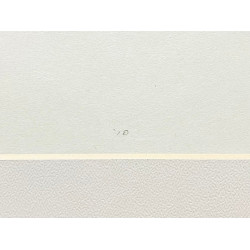 copy of copy of copy of « Daisen-In » 1990