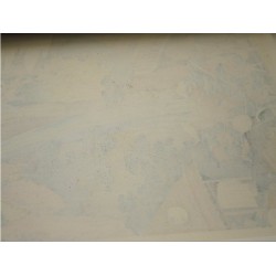 Roben Waterfall at Mt. Oyama in Sagami Province