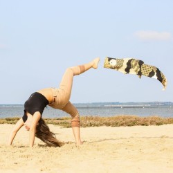 copy of copy of copy of copy of copy of Koinobori Argenté (M)
