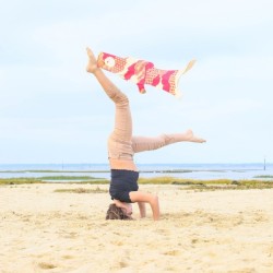 Koinobori Matsu Red Madame Mo en coton biologique