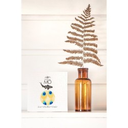 Koinobori Paon (S) Madame Mo