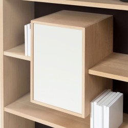 MIXAGE 100 bibliothèque Drugeot