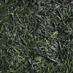 copy of copy of copy of Matcha BIO Barista Grade, Yabukita, Shizuoka, Japon