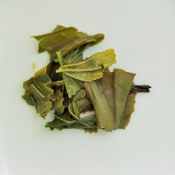 Feuilles infusées de Gabamatch, thé vert japonais