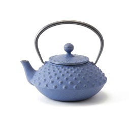 Arare cast iron teapot 0.3 L – Made in Japan | futon-shop.ch