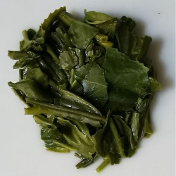 Feuilles de sencha BIO infusées, larges et d’un vert tendre