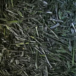Feuilles sèches de Sencha de Compétition, longues et fines aiguilles vert sombre