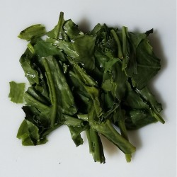 Feuilles de Sencha de Compétition infusées, entières et d’un vert profond
