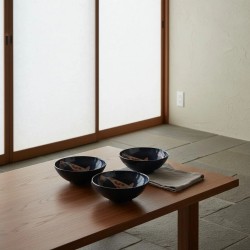 Bols ramen KOÏ sur une table basse en bois, devant des panneaux shoji