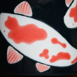 Détail du décor du mug KOÏ, carpe koï blanche et rouge corail aux nageoires striées