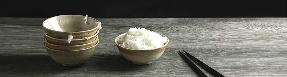 BOL JAPONAIS à RIZ, MISO et SOBA