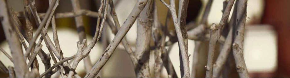 Suspensions végétal et papier – Luminaires naturels design