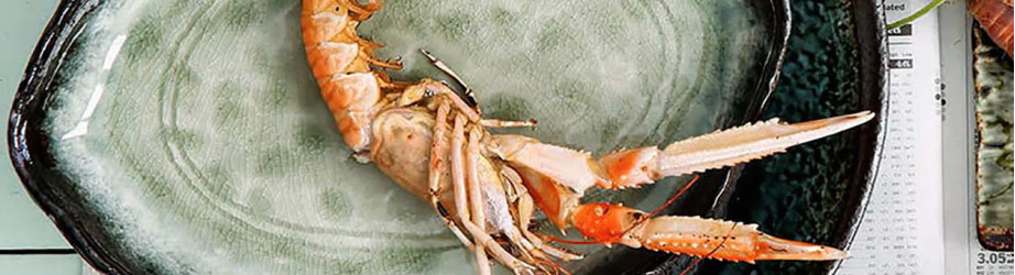 Vaisselle japonaise en porcelaine magnifiquement émaillée.